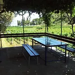 Secluded House With A Parking Space Postira, Brac - 22203 Dom wakacyjny